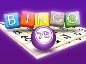 Bingo 75